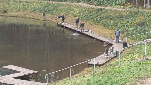 Forest Fishing 11.10.25
