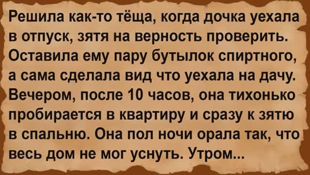 Как тёща зятя на верность проверяла. Сборник анекдотов