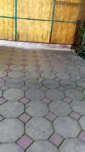 1000007922.mp4
