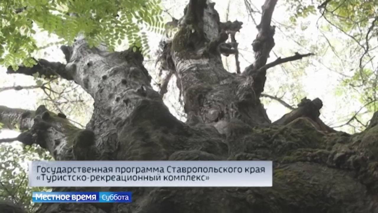 Заглянуть в мир дикой природы Ставрополья позволяет экотуризм