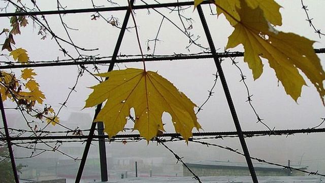 Я отбываю срок