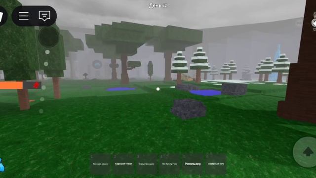 6291.mp4