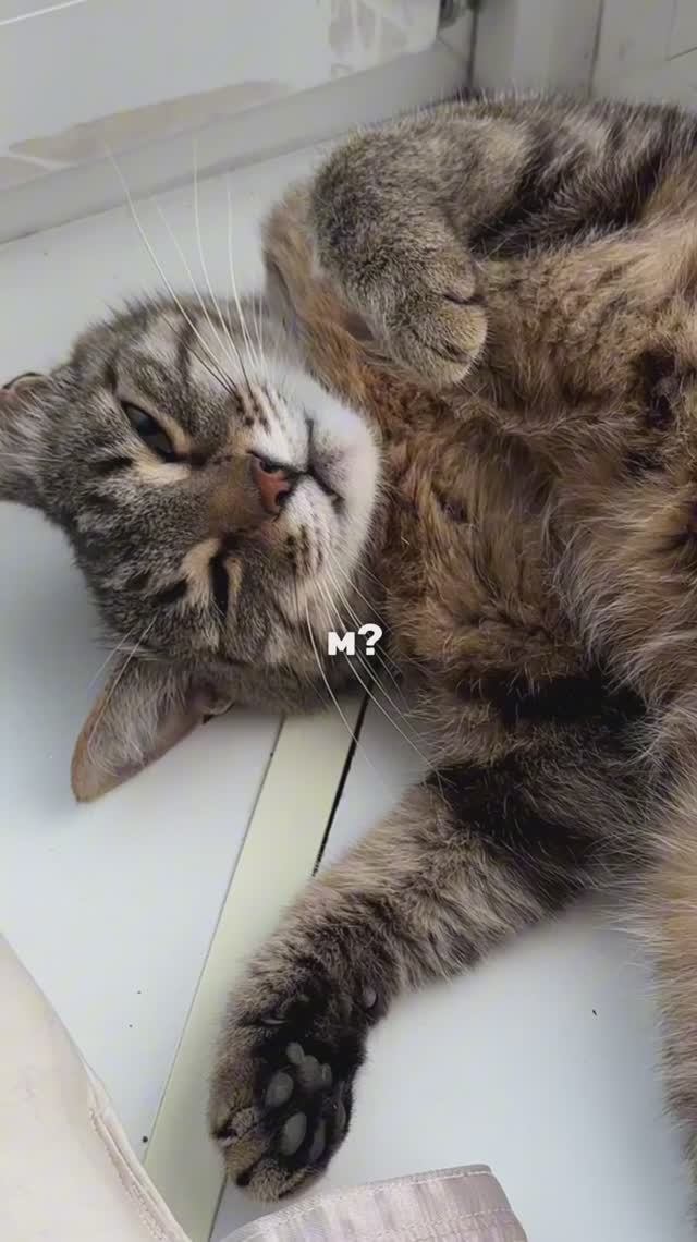 НЕВОЗМОЖНО ПРОЙТИ МИМО 🤌