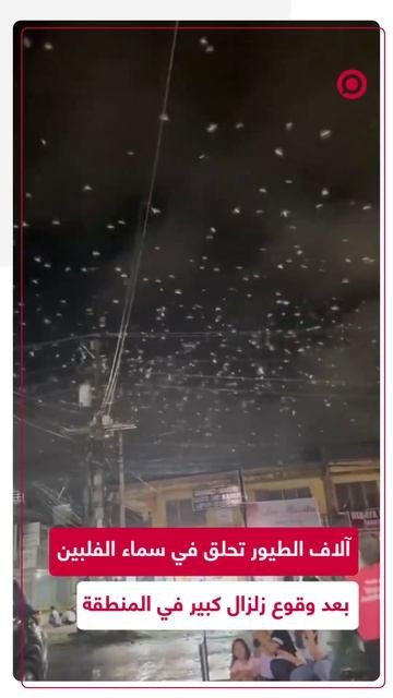 آلاف الطيور في سماء الفلبين بعد وقوع الزلزال