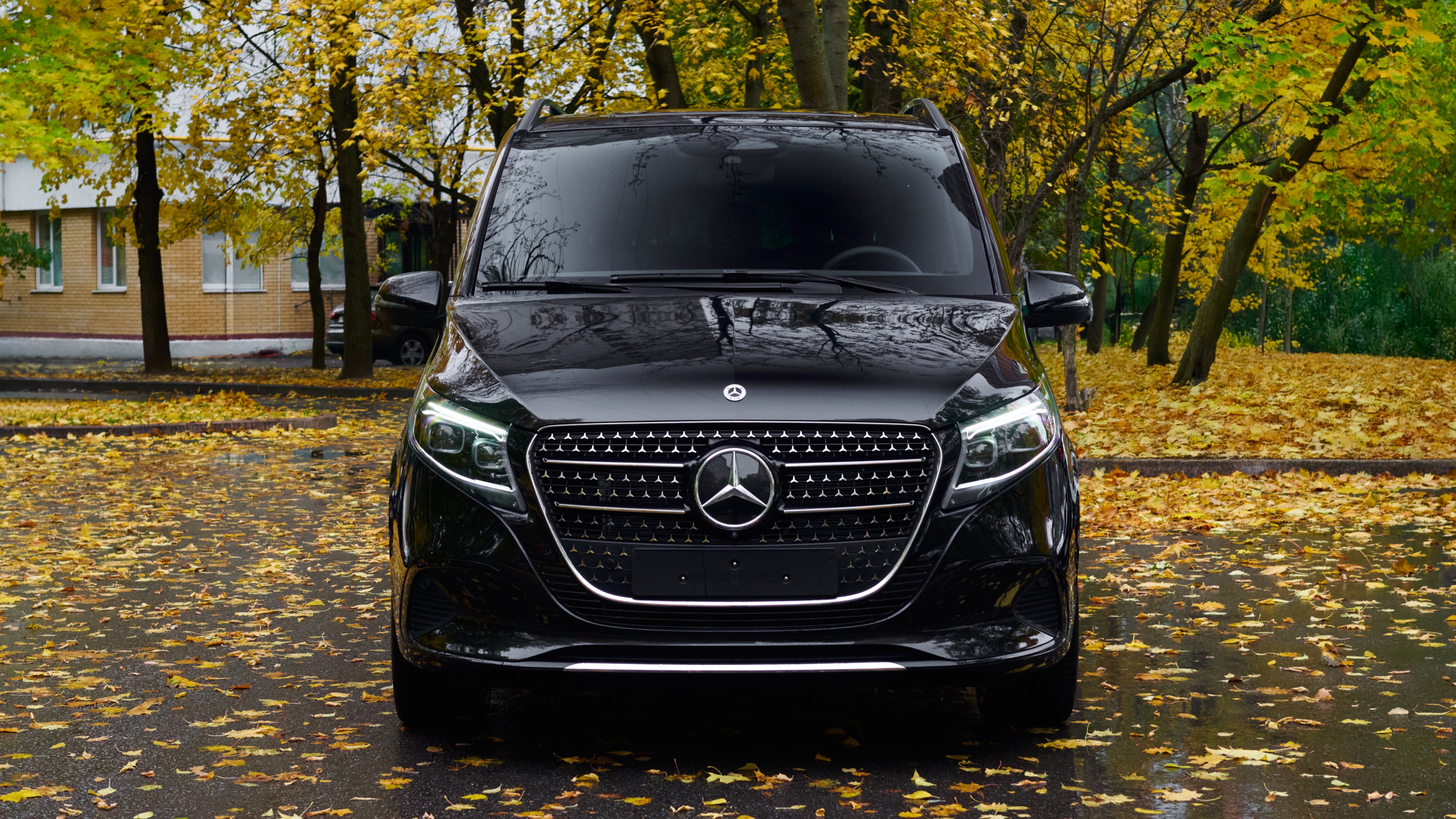 Mercedes Benz 300d V Klass Extralong