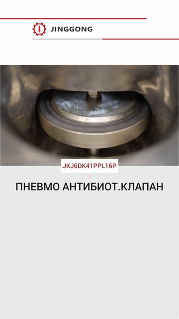 ПНЕВМО АНТИБИОТ.КЛАПАН-JINGGONG