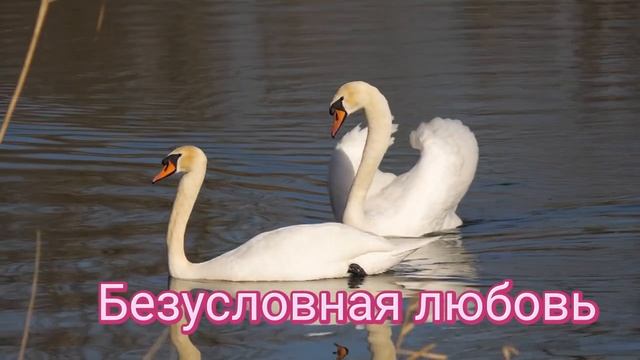 ⚡️Гармонизация отношений. Саблиминал