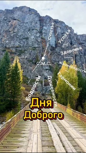 Video_10073421190552.mp4