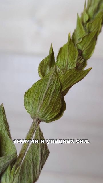 при усталости, тревоге и депрессии