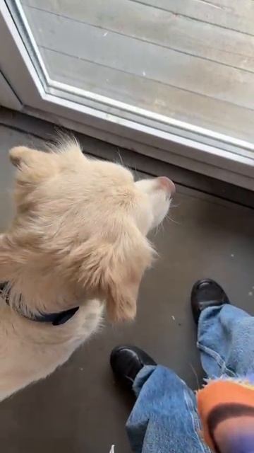 1000610308.mp4
