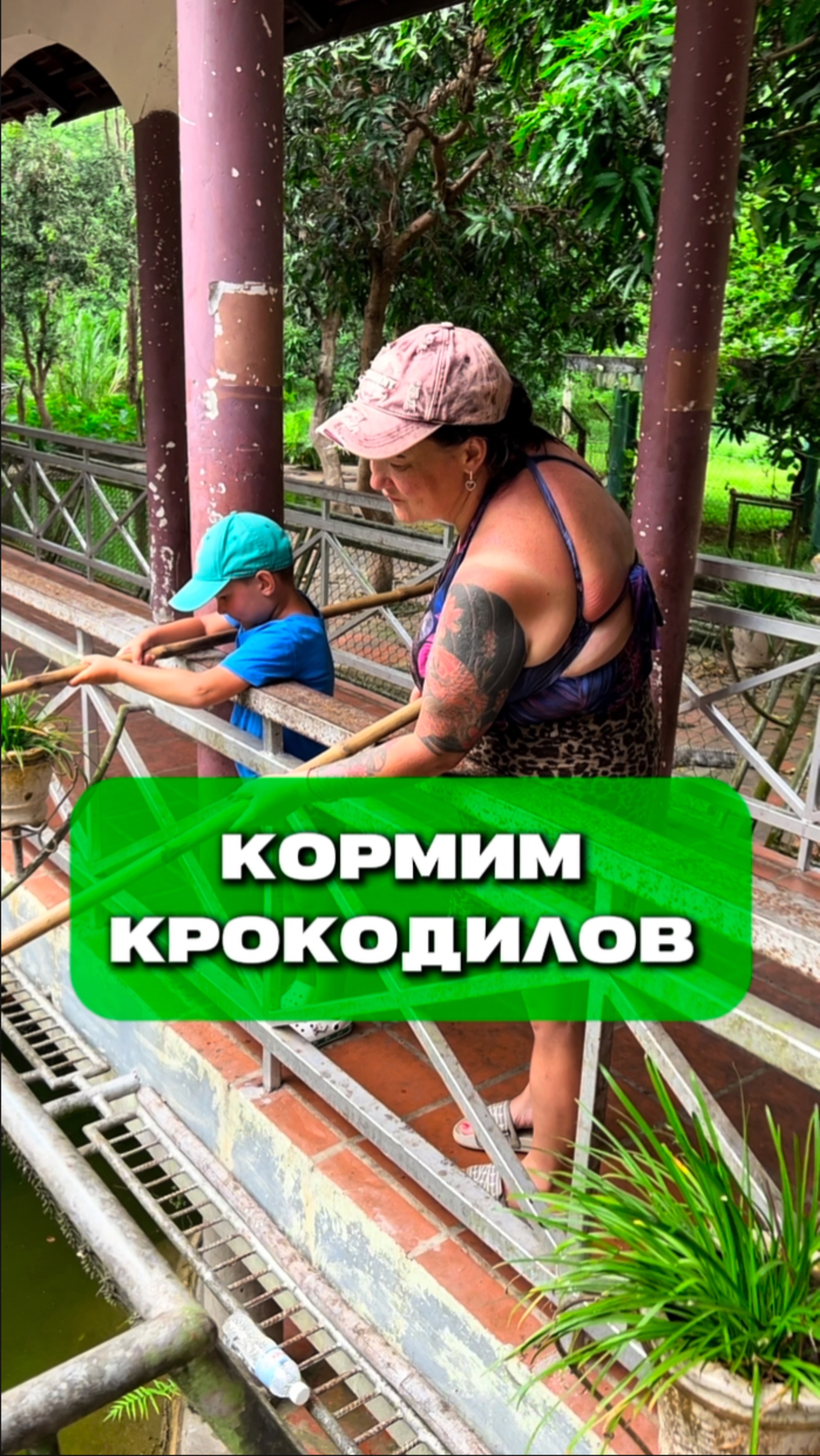 Кормим крокодилов во Вьетнаме
