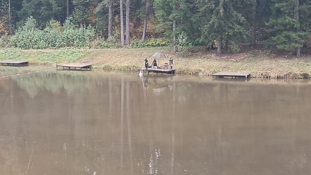 Forest Fishing 11.10.25