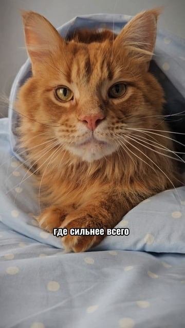 Никогда не поступай так