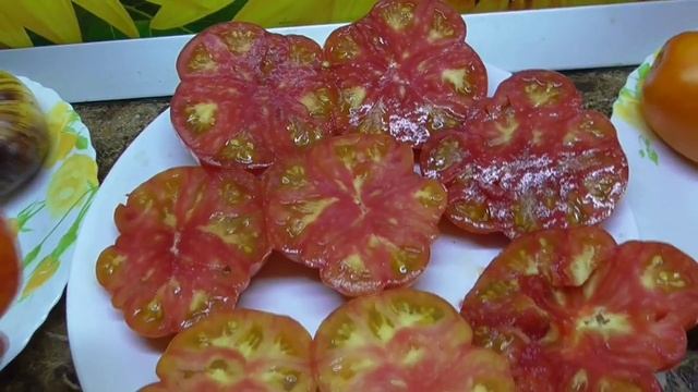 Томат Восход джаза. №904. ДЕГУСТАЦИЯ СОРТА.