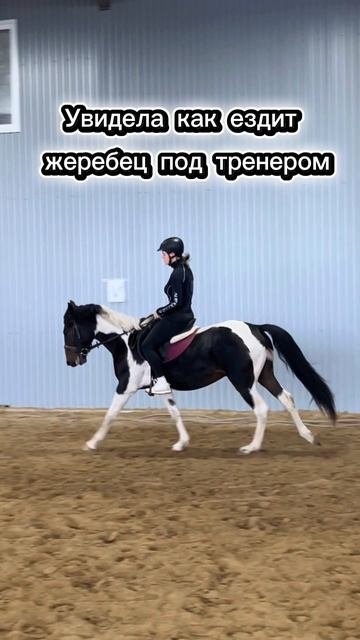 Когда тренер ВАУ 