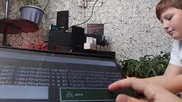 две попы