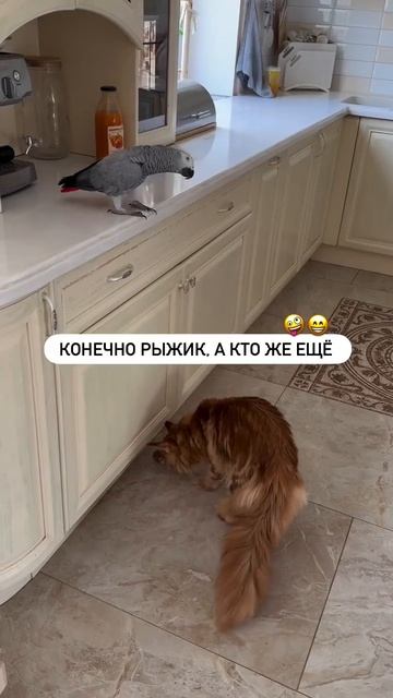 Хитрый птиц!