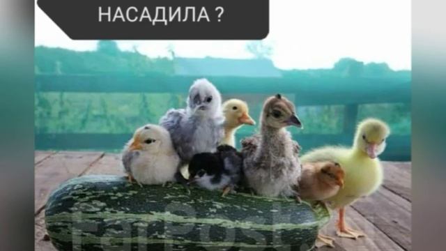 почти фильм