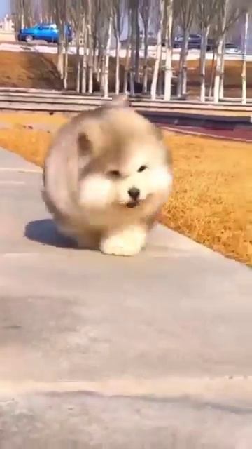 Милота 😍