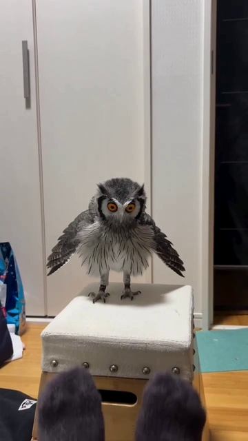 🤣🤣 Какие ноги!