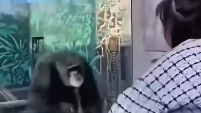ЮМОР)))))