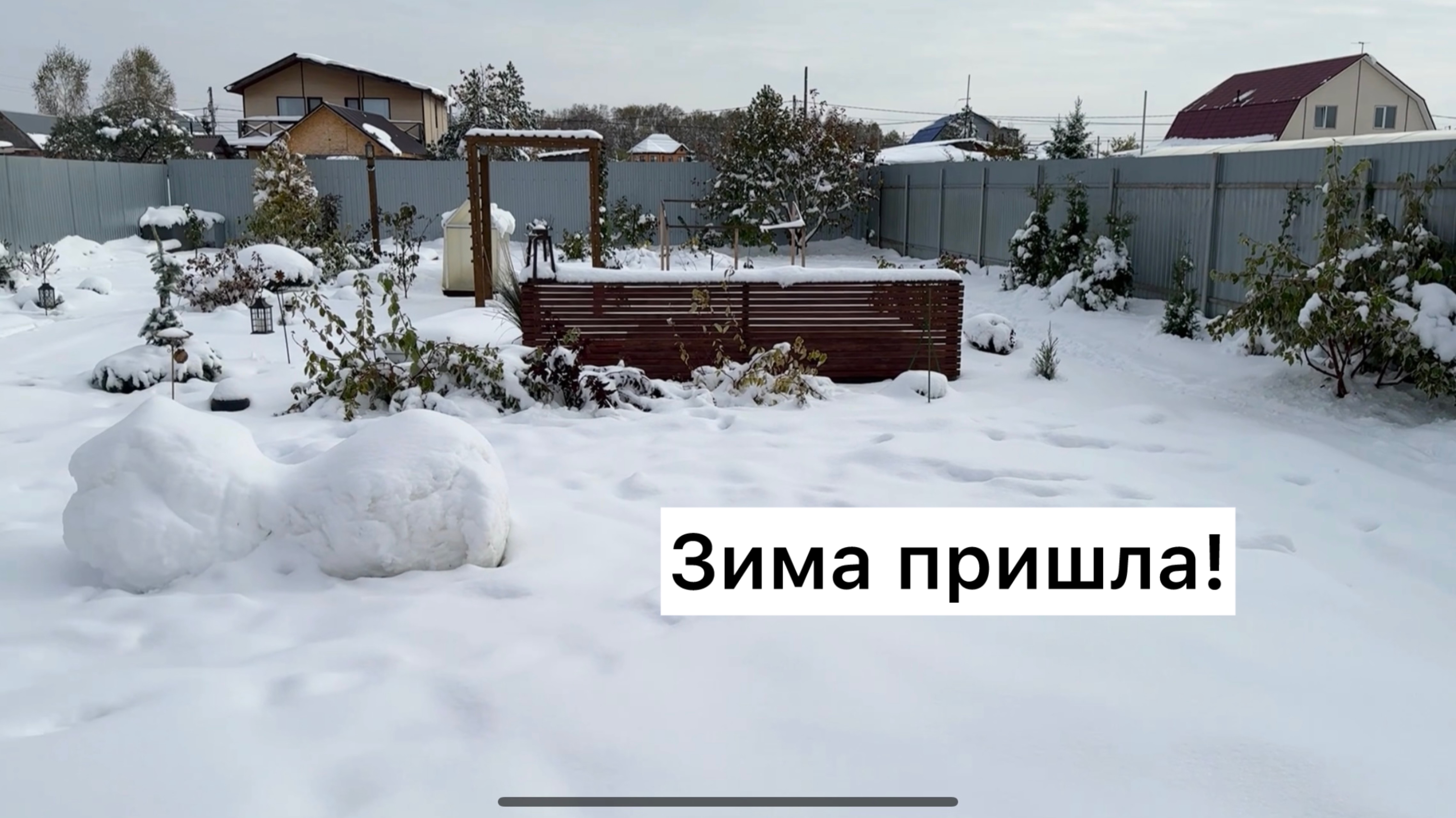 Сад 11 октября 2025 г. Не успела подготовиться и вот результат 🙁