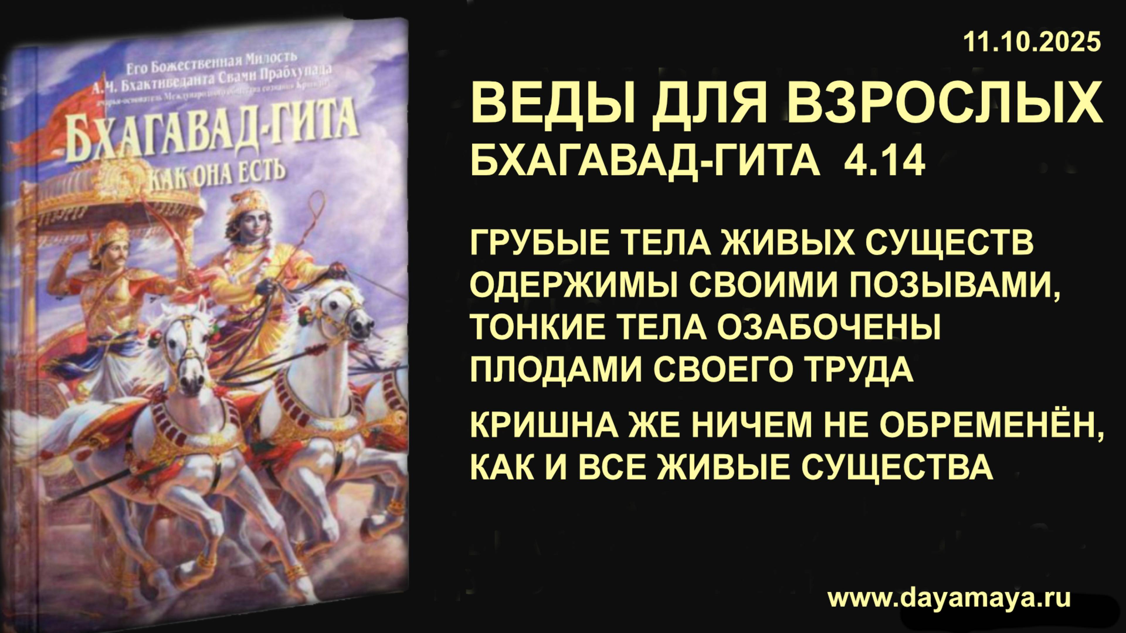 Веды для взрослых. Бхагавад-гита 4.14