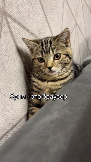 1000004719.mp4