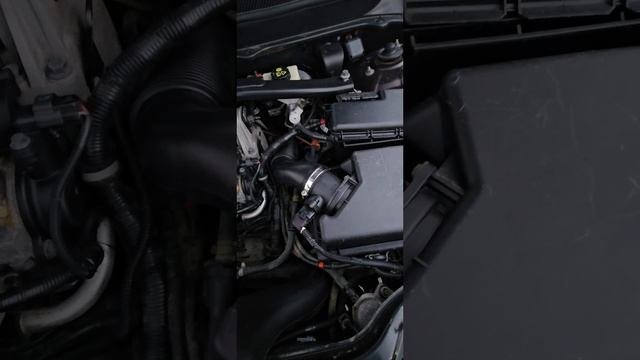1000082603.mp4