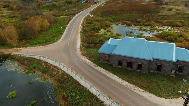 Лебеди | Татарстан | Осень 2025г.