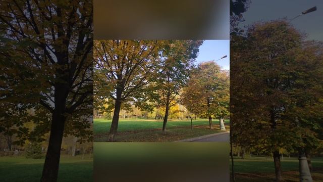 1000431720.mp4