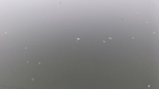101.mp4