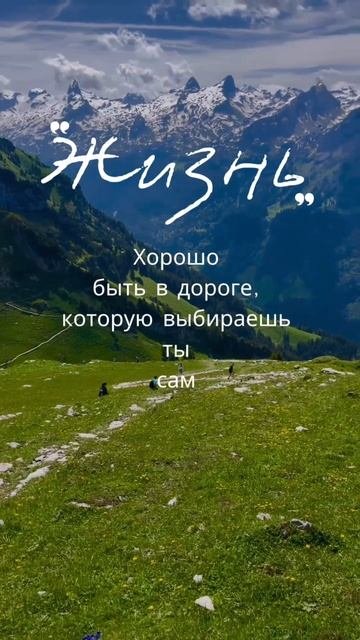 Выбрать действия для живой жизни♥️ ©DegDi🔥