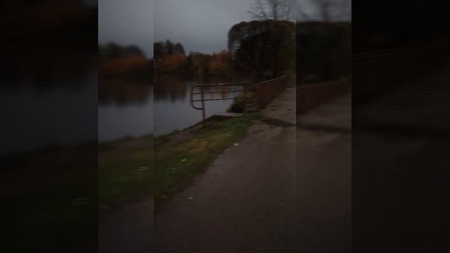 50935.mp4
