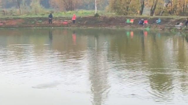 WhatsApp Video 2025-10-11 At 11.05.44