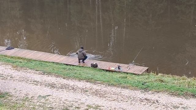 Forest Fishing 11.10.25