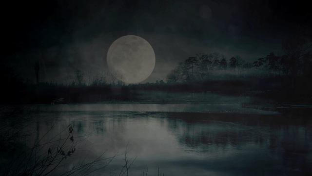 25 - Good Night