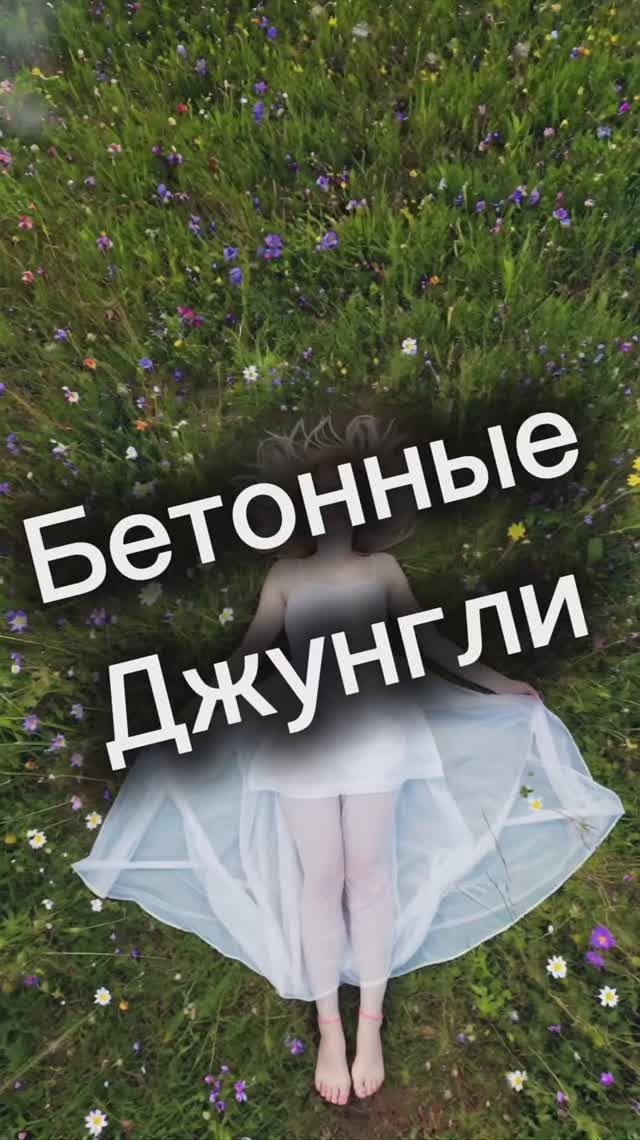 «Бетонные джунгли»