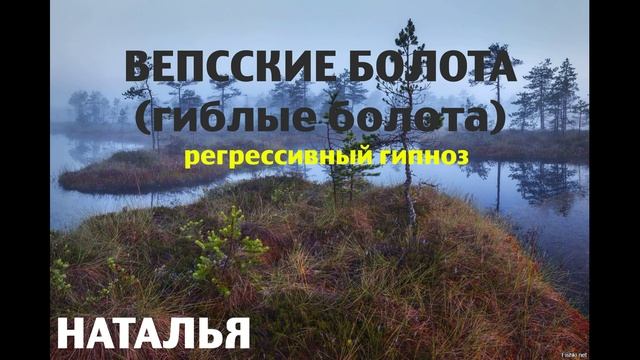 Вепсские болоты(гиблое место).Ченнелинг.Регрессивный гипноз. Наталья Соколова.