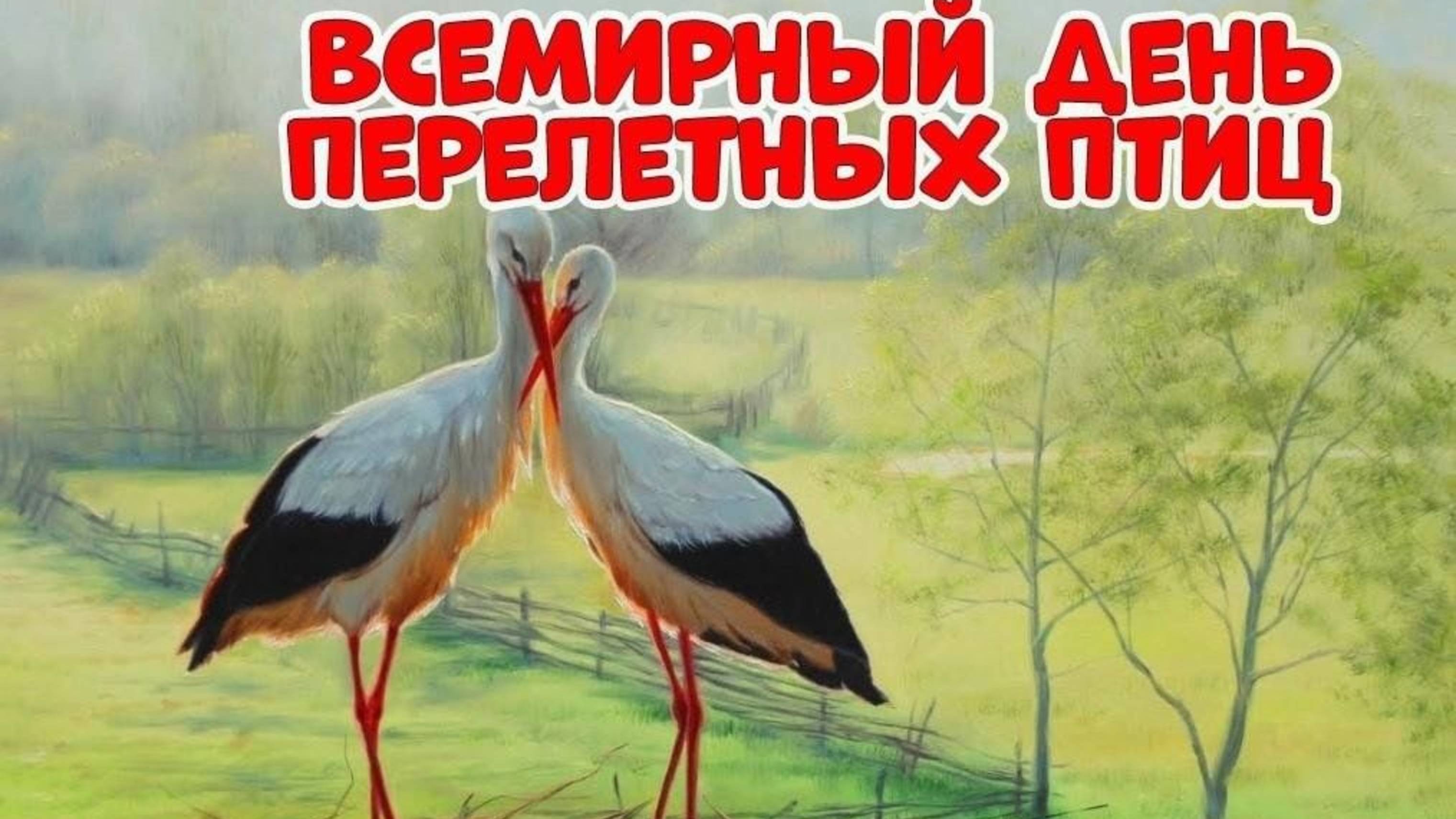 С ДНЁМ ПЕРЕЛЁТНЫХ ПТИЦ!