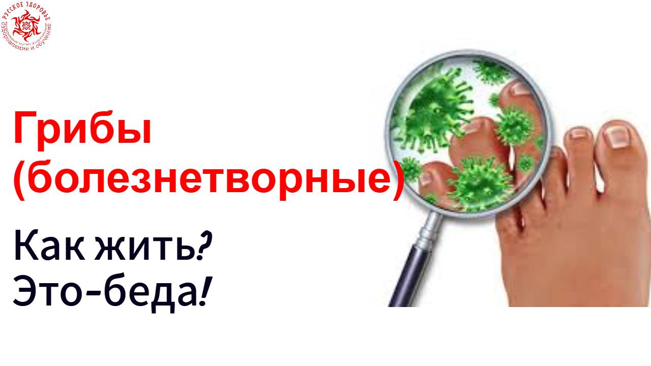 Грибы (болезнетворные). Как жить.