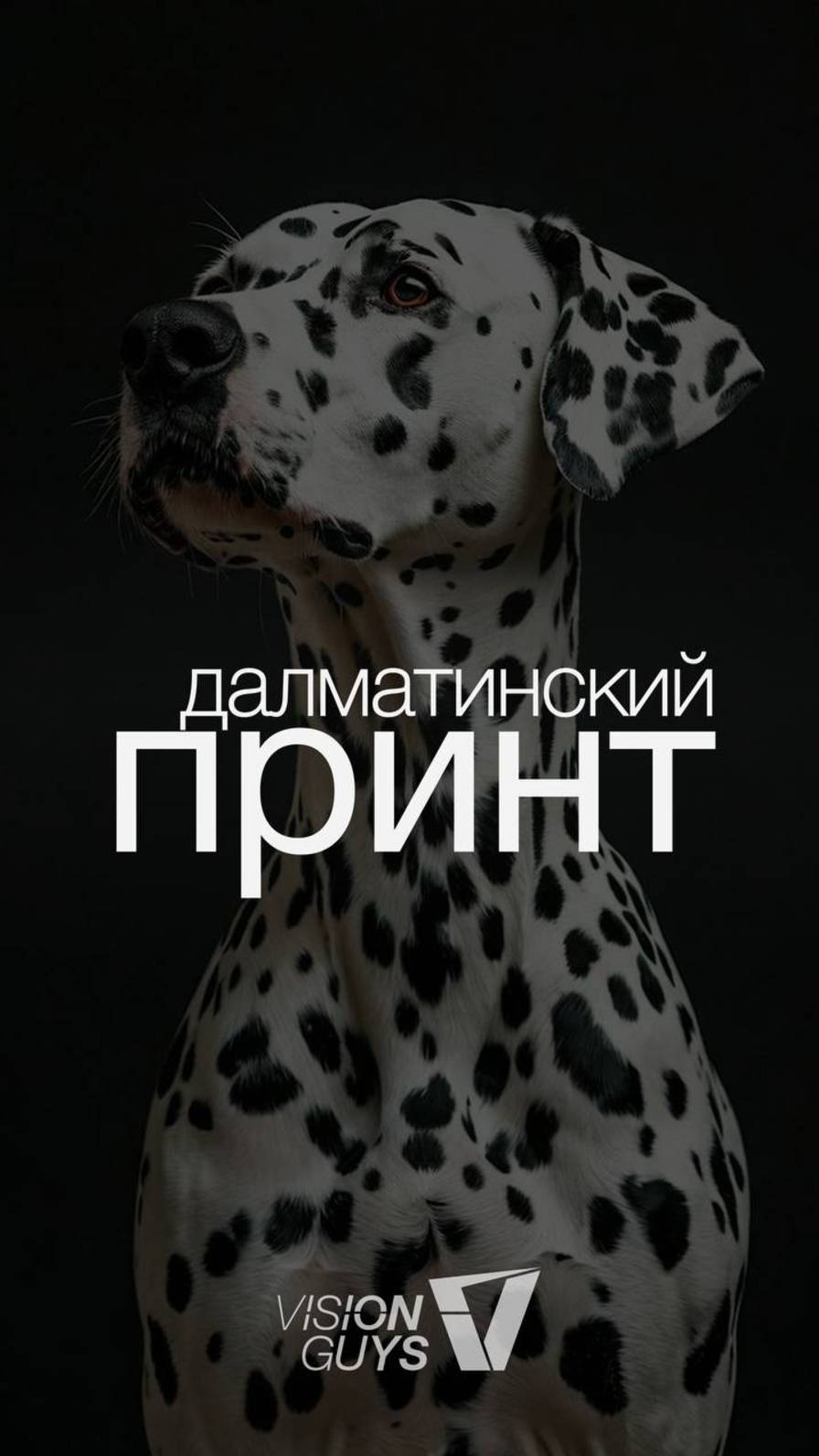ДАЛМАТИНСКИЙ ПРИНТ