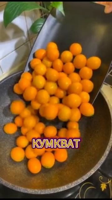 Кумкват - и вкусно, и полезно