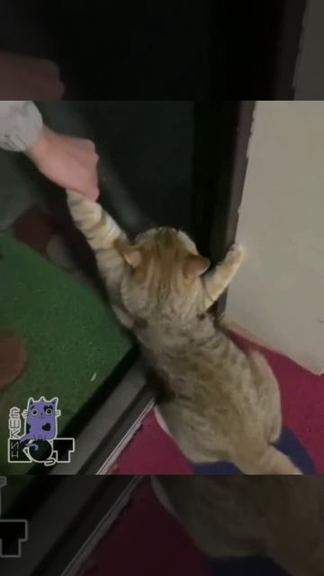 Никуда не пойду