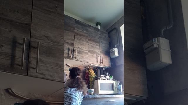 VID_20251010_145631.mp4