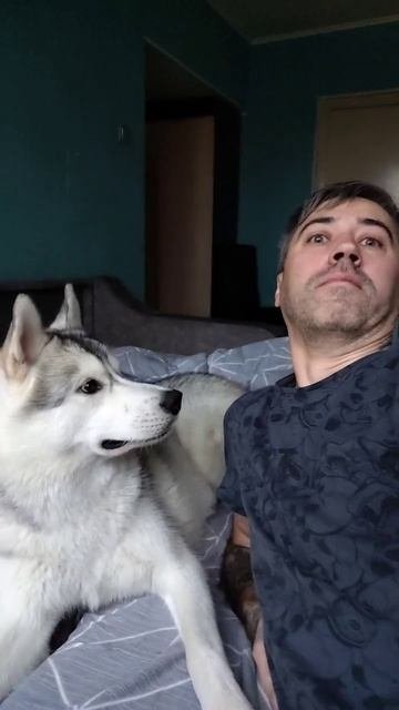 Утреннее безумие 🤣