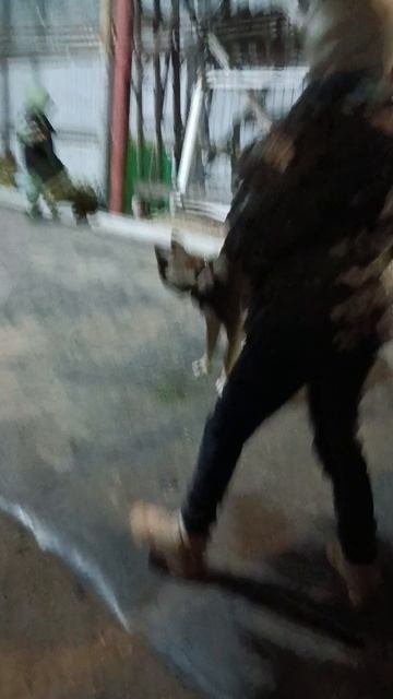 милый дозор