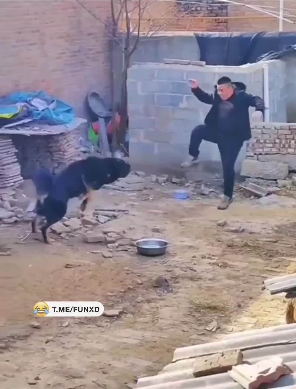 Самурай не справился с задачей😁