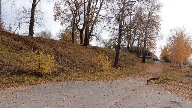 осень золотая