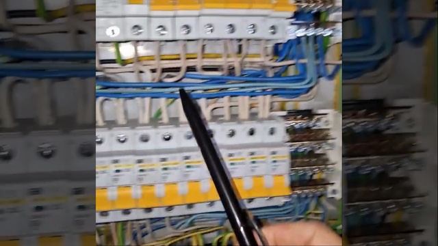 1000037015.mp4 (Собака смотрит на монтаж электропроводки (в э/щите) в доме А-фрейм)